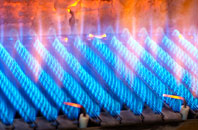 Levenwick gas fired boilers